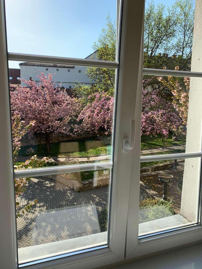 Negy Evszak Apartman- Tapolca Luaran gambar